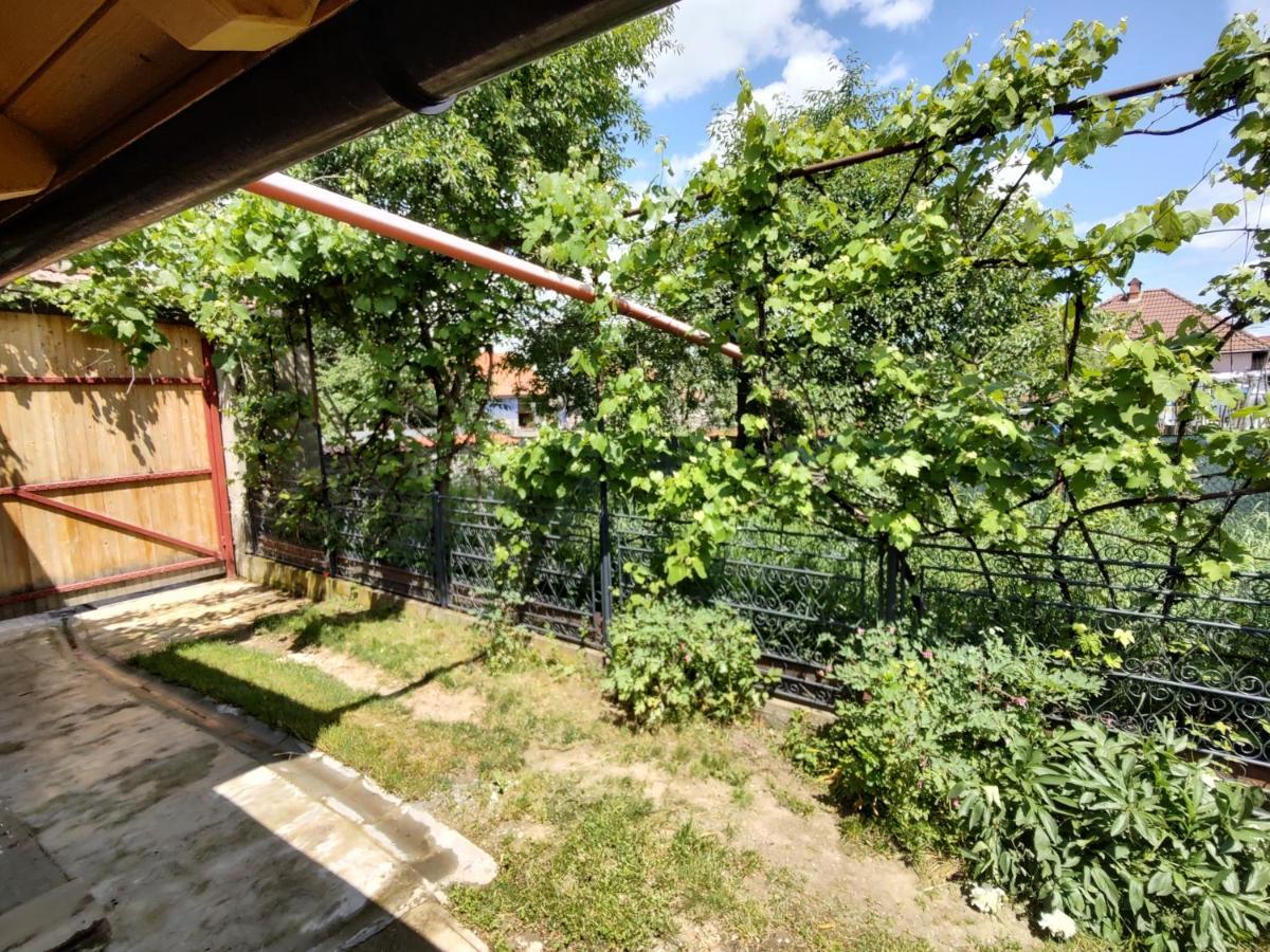 Отель La Tataia Zahei Dragus Экстерьер фото